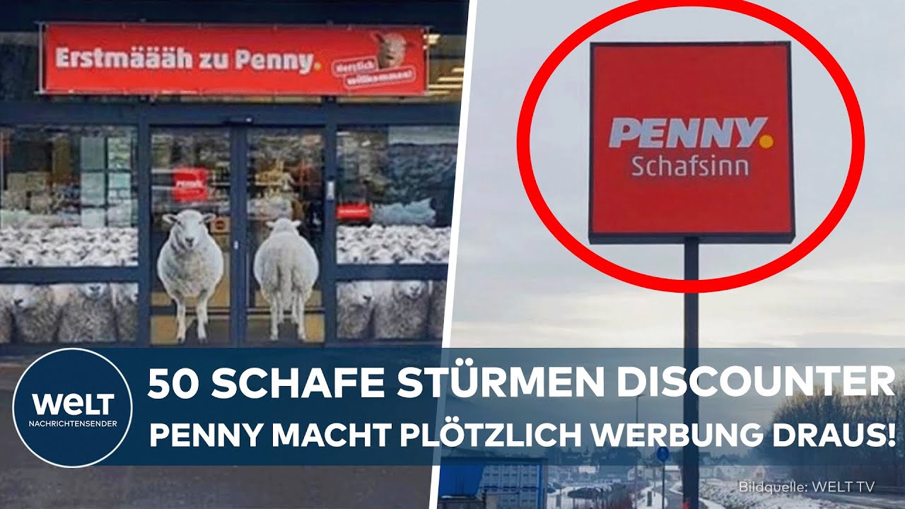 BURGSINN: Penny wird zu "Schafsinn"! Discounter macht viralen Schaf-Vorfall zur Markenkampagne