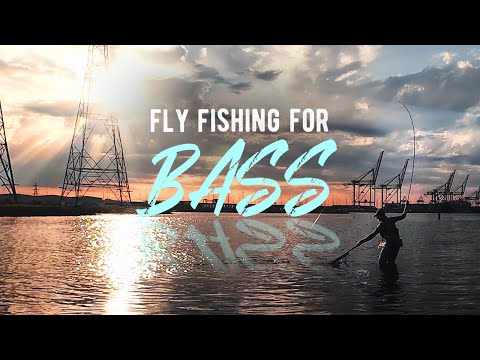 Fly Fishing For Bass UK | Saltwater Fly Fishing | Sea Bass On The Fly
