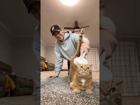 KURT’S NEW STEAM BRUSH 🤯