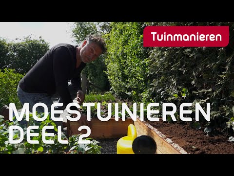 Moestuinieren deel 2 | Groenten en kruiden