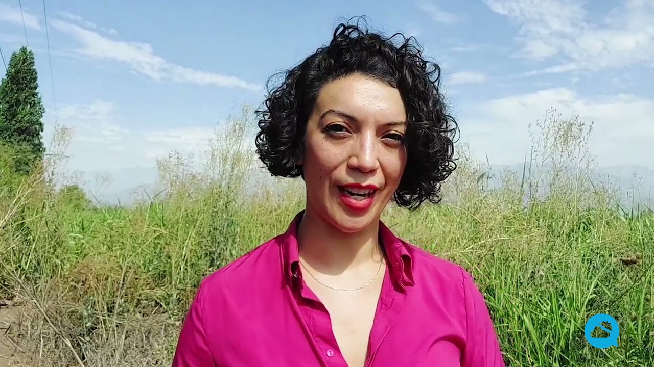 youtube video id=R95dxhh4HFk