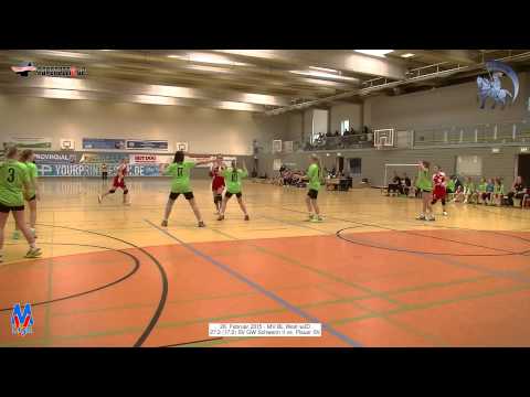 27:2 (17:2) SV GW Schwerin II vs. Plauer SV - 28.2.2015