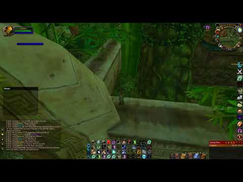 [05] Zul'Gurub Herbalism / Mining Farm - Panther boss