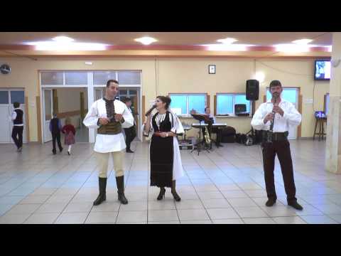 Formatia Condor Alba Iulia live 2014