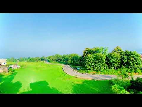 Peaceful nature 💚