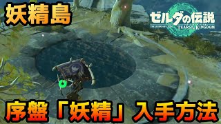 序盤に「妖精」を大量入手！？妖精が複数いる浮島に簡単に行く方法(ティアキン）【ゼルダの伝説　ティアーズ オブ ザ キングダム】