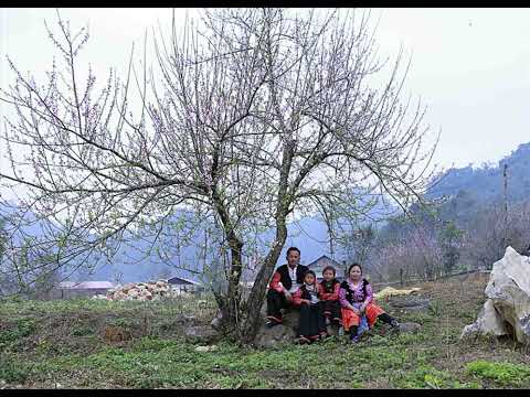 Relaxing Music, Peaceful Piano Music ★︎  Javier Ross Celeste Goodm Bradley Drake Malcolm Paul