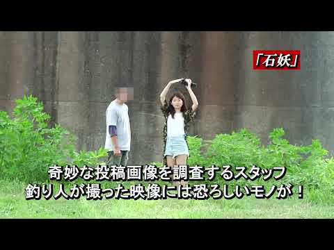 「封印映像62 かよこにきけ」予告編
