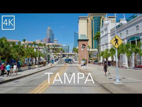 Tampa Florida City Drive 4K - The Big Guava Driving Tour