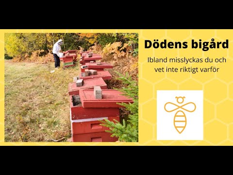 Misslyckad invintring