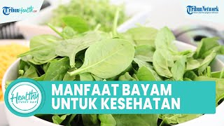 Sederet Manfaat Bayam untuk Kesehatan Tubuh: Lawan Stres Oksidatif hingga Cegah Kanker