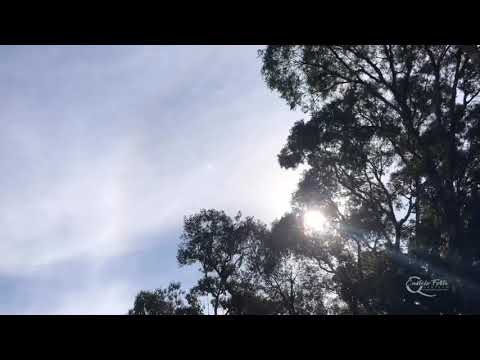 [CLIPE] Quarteto Castelo Forte - Aleluia