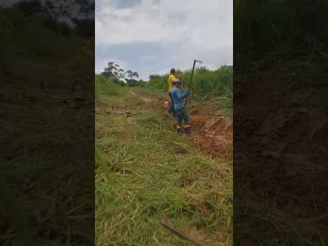 Bujari acre , padeiro é o prefeito .