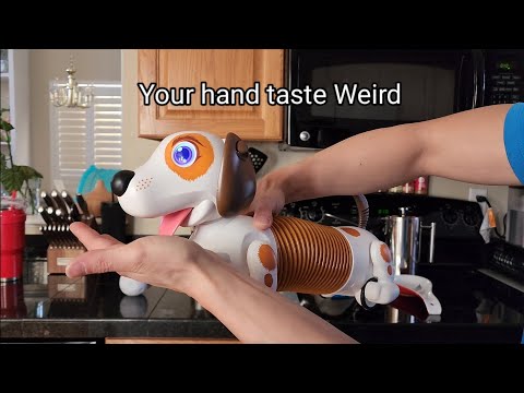 The Robotic Dog 🐕 Play Fetch and follow you around!!!