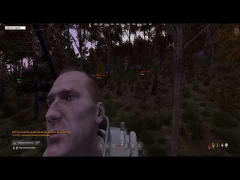 NEVER GO ON THE ROOF DayZ PvP