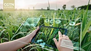 Argentina y la transformación de la agricultura promovida por China-CELAC y FAO