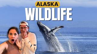 Magical Whale Encounters & Luxury Dining on the Celebrity Edge before exploring Victoria!