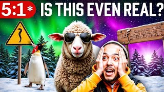 10 Wild Facts About New Zealand You WON’T Believe Are Real!