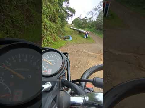 Selva de la Convención - Cusco 