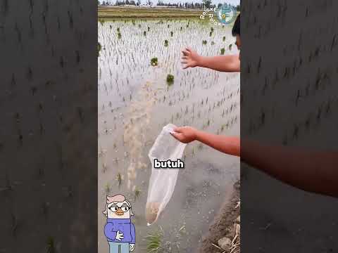 #subs