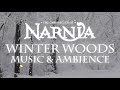 Chronicles of Narnia Winter Woods Music & Ambience Relaxing Music with Sounds of Winter