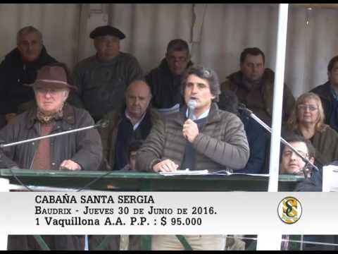 30-06-16 - VENTA VAQUILLONA PP. - CABAÑA SANTA SERGIA