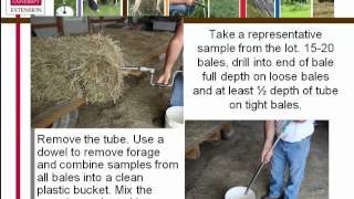 Forage Testing Round and Square Bales