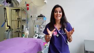 La temida torsión de estómago