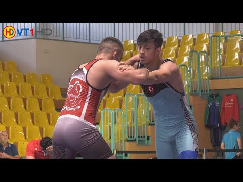 RINGEN | int. Brandenburg-Cup 2017 Junioren (Gr./Rö.) - 74kg 1/8 Finale