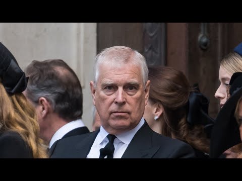 ‘Hacking off the sibling leg’: Andrew’s title removal could be to ‘save the monarchy’