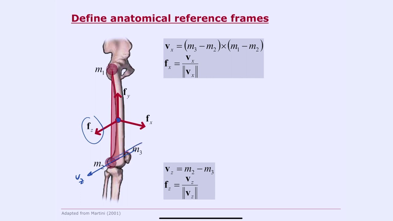 Biomechanics of Movement | Lecture 7.4: Inverse Kinematics: From Marker Locations to Joint Angles