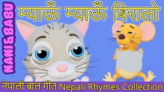 Meow Meow Biralo - Myau Myau Biralo  Nepali Rhymes