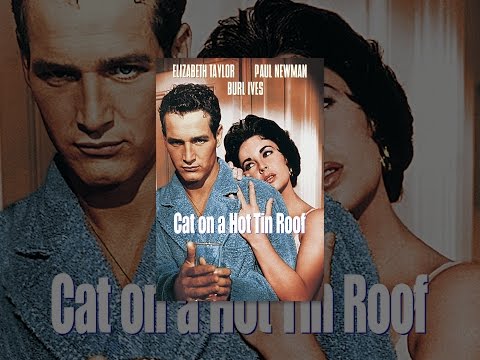 Cat on a Hot Tin Roof