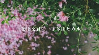 花束を君に-宇多田ヒカル　ギター弾き語り