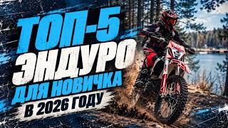 ТОП 5 эндуро для новичка в 2026 году