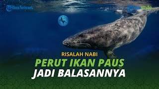 Allah SWT Penjarakan Nabi Yunus di Perut Paus, Akibat Marah-marah Tinggalkan Kaum Niwana