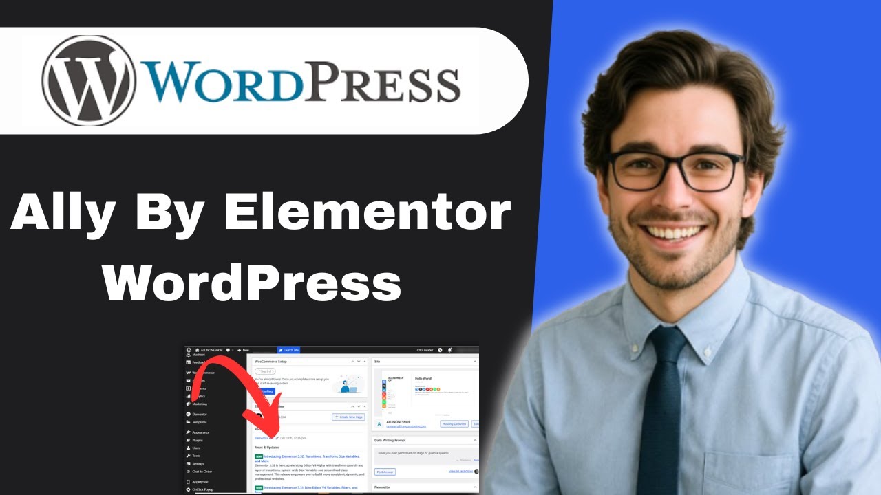 Ally by Elementor WordPress accessibility plugin (full guide)