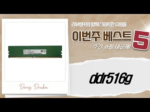 DDR5 16G 램 총집합! ADATA, 팀그룹, 마이크론, 하이닉스 비교