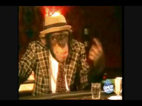 download lagu mp3 mp4 A Penguin Walks Into A Bar, download mp3 A Penguin Walks Into A Bar free download mp3, download mp3 A Penguin Walks Into A Bar