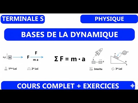 THE BASICS OF DYNAMICS - FINAL YEAR OF HIGH SCHOOL (SCIENCE)