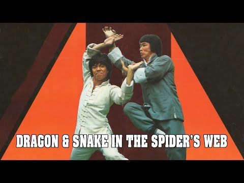 Wu Tang Collection - Dragon & Snake In The Spider's Web