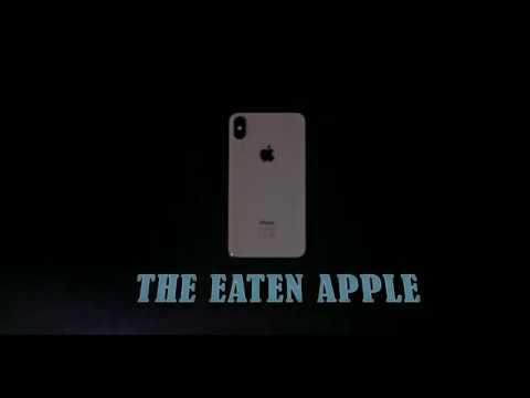 first video]b-roll iphone xs max ]