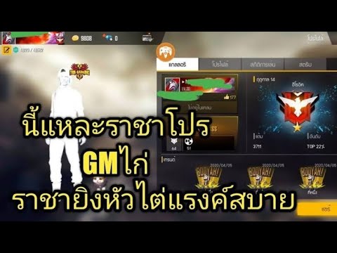 โปรฟีฟาย