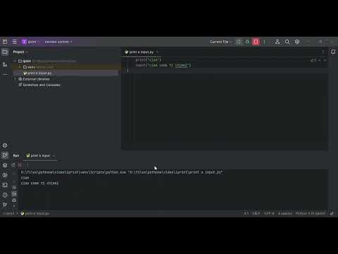 come usare print e input in python
