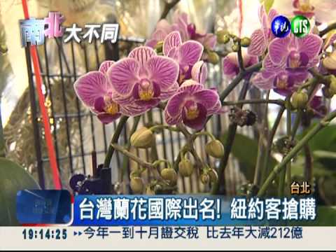 建國花市30週年 1元花卉搶翻!