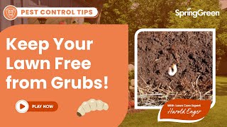 Controlling Grubs in Your Lawn -- Expert Lawn Care Tips