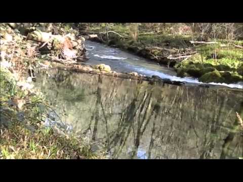 El Río Va - Abel Pintos
