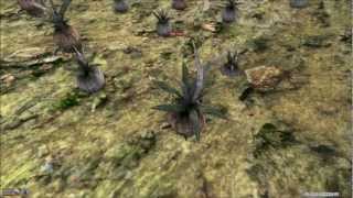 Let's Play Morrowind Part 129 - Survivor of Broom Attacks