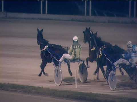 Trotto 31/12/2018 - 8ª corsa