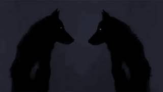 Underdog Music Video